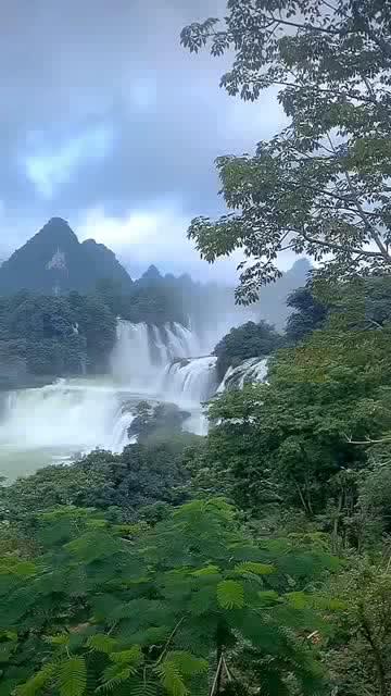 探讨天涯热点话题,尽在面对疫情,人们可以生活得多努力和乐观?问答平台